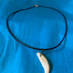 Coyote Canine Necklace