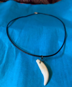 Coyote Canine Necklace