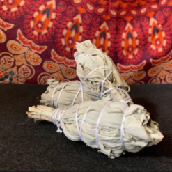 Sage Bundle (small)
