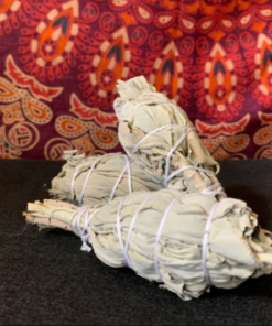 Sage Bundle (small)